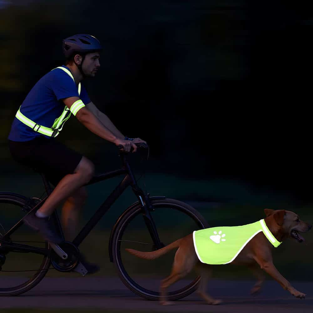 reflective-dog-accessories