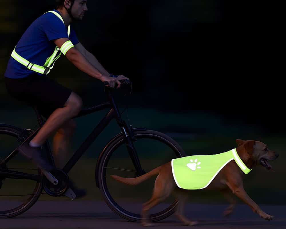reflective-accessories-for-dogs-application